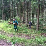 K1600_20160611_072923200_iOS
